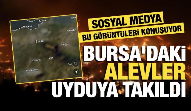 Dumanlar aynı anda yükselmiş... Bursa'daki yangınların uydu görüntüleri ortaya çıktı!