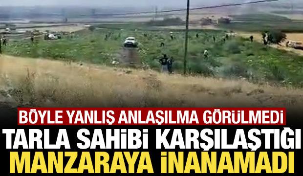 Mardin'de karpuz tarlasına yanlış bilgi akını: Çiftçi şoke oldu!