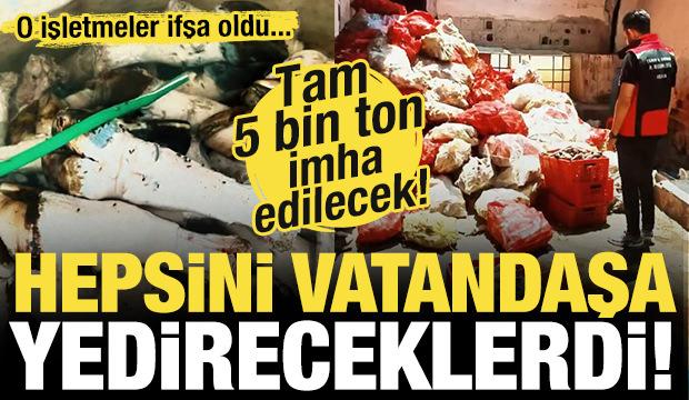 5 ton yakalandı! Hepsini vatandaşa yedireceklerdi...
