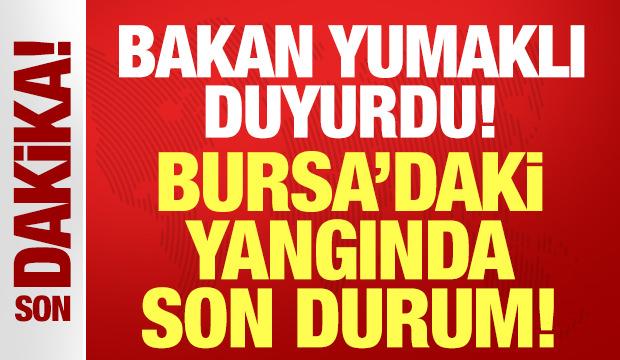 Bakan Yumaklı duyurdu: Bursa'daki yangın kontrol altına alındı!