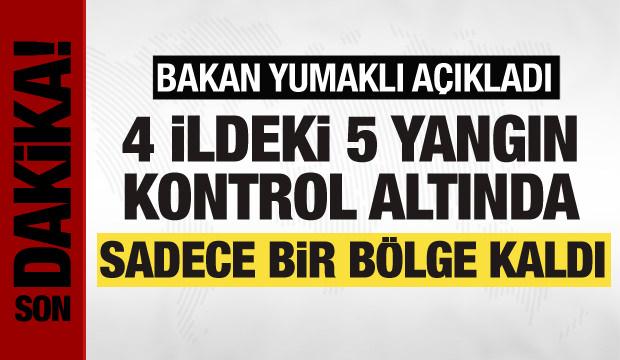 Bakan Yumaklı'dan yangınlarla ilgili açıklama: Sadece bir bölge kaldı