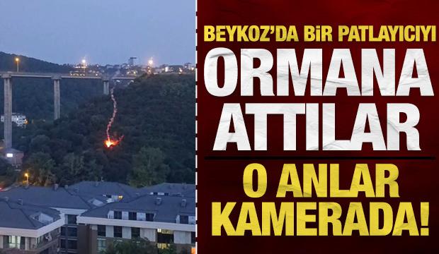Beykoz'da bir patlayıcıyı ormana doğru attılar: O anlar kamerada!