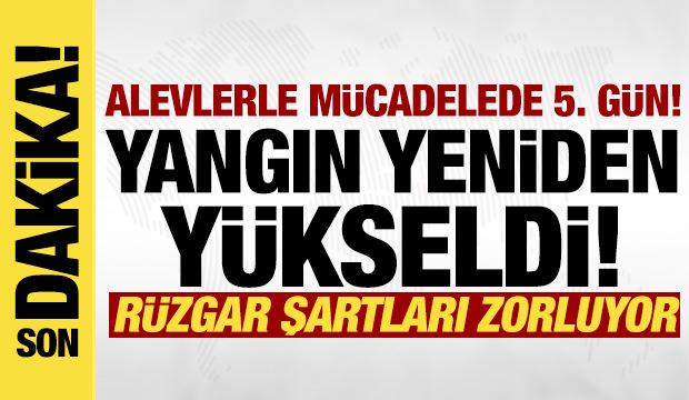 Bursa'da yangın 5. gününde! Alevler yeniden yükseldi, müdahale sürüyor!