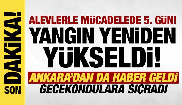 Bursa'da yangın 5. gününde! Alevler yeniden yükseldi, müdahale sürüyor!