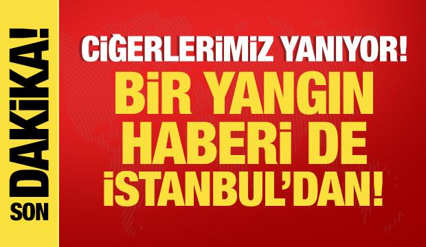 Ciğerlerimiz yanıyor: İzmir, Karabük ve Harmancık'ta son durum! Beykoz'da yangın