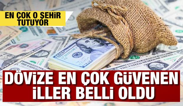 Dövize en çok güvenen iller belli oldu