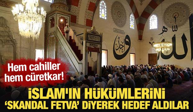 Hem cahiller hem cüretkar! İslam'ın hükümlerini "skandal fetva" diyerek hedef aldılar