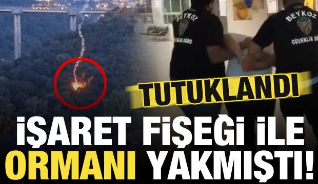 İşaret fişeği ile ormanı yakmıştı! O anlar kamerada, tutuklandı