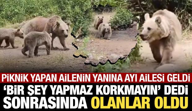 Piknik yaptıkları yere ayı geldi, "Korkmayın saldırmaz" dedi sonra olanlar oldu