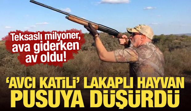 ABD'li milyoner, ava giderken av oldu! "Avcı katili" lakaplı hayvan pusuya düşürdü