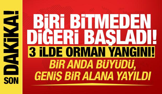 Çanakkale'de yangın bir anda büyüdü! 3 ilde orman yangını...