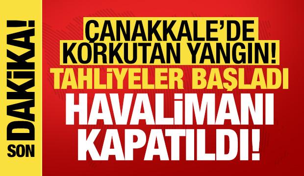 Çanakkale'de yangın bir anda büyüdü! 3 ilde orman yangını...