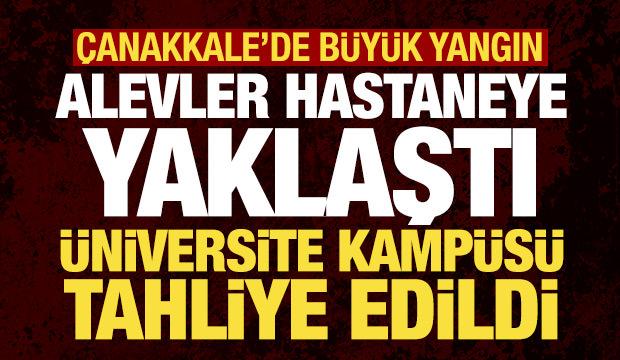 Çanakkale'de yerleşim yerine çok yakın noktada büyük yangın