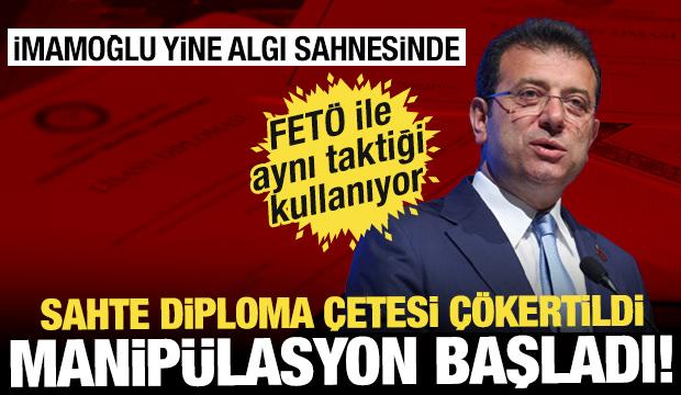 Devlet sahte diploma çetesini çökertti ama…