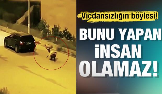 Eşeğe işkence eden cani böyle görüntülendi