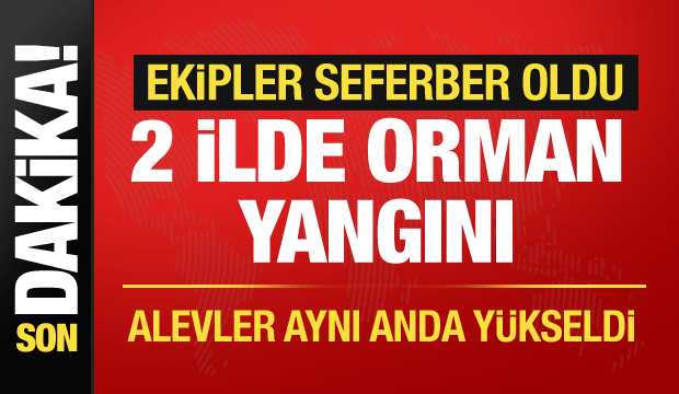 Karabük ve Denizli'de aynı anda orman yangını! Ekipler sevk edildi