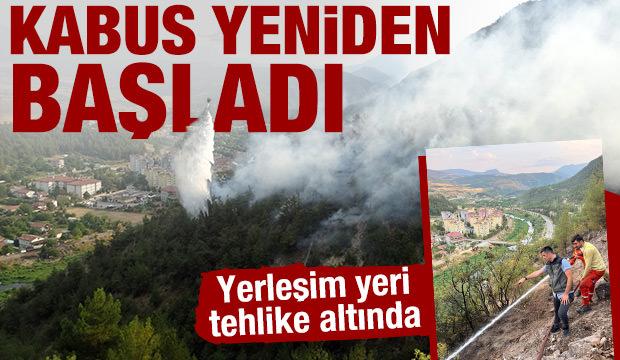 SON DAKİKA: Karabük'te orman yangını: Yangına müdahale sürüyor