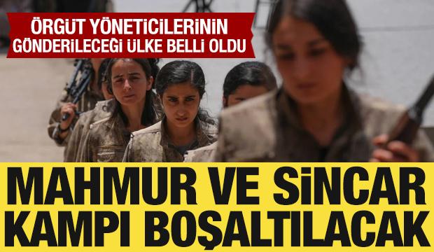 Terörsüz Türkiye’de yeni aşama! Mahmur ve Sincar Kampı boşaltılacak