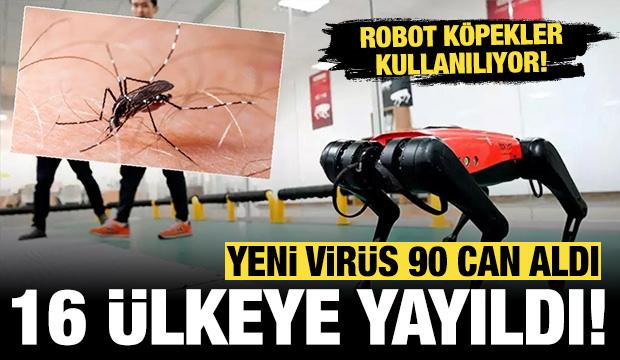 16 ülkede korkunç virüs yayılıyor: 240 binden fazla vakada 90 kişi öldü