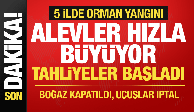 Çanakkale, Bolu, Manisa, Mersin, Aydın... 5 ilde orman yangını: Alevler hızla büyüyor