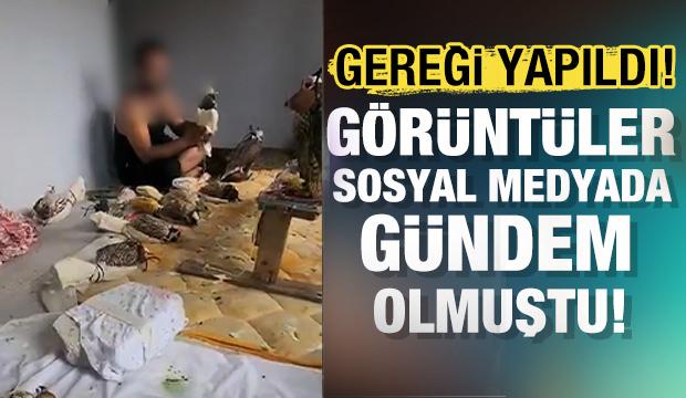 Avlanması yasak olan kuşları yakalayan şüpheli yakalandı