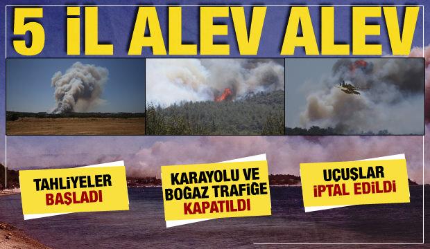 Çanakkale, Bolu, Manisa, Mersin, Aydın... 5 ilde orman yangını: Alevler hızla büyüyor