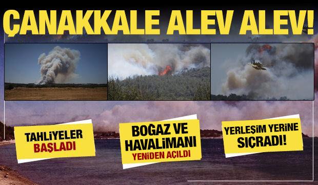 Çanakkale, Bolu, Manisa, Mersin, Aydın... 5 ilde orman yangını: Alevler hızla büyüyor