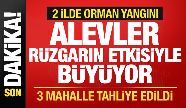 Çanakkale ve Mersin'de orman yangını! 3 mahalle tahliye edildi