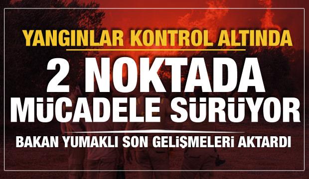 Orman yangınları kontrol altına alındı! 2 bölgede çalışmalar sürüyor