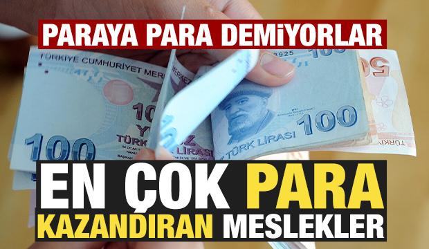 2025 yılında en çok para kazandıran meslekler! Paraya para demiyorlar...