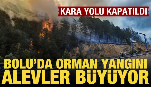 Bolu'da orman yangını başladı: Havadan ve karadan müdahale sürüyor