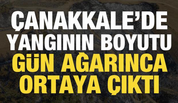 Çanakkale'de yangının boyutu gün ağarınca ortaya çıktı