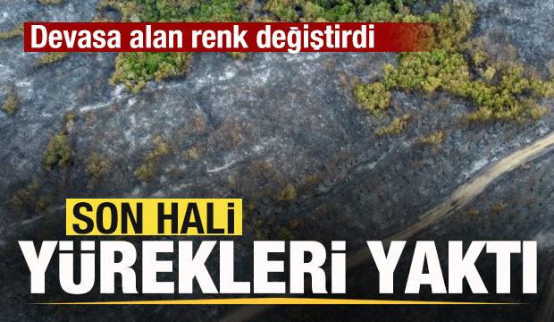 Devasa olan renk değişti! Son hali yürekleri yaktı