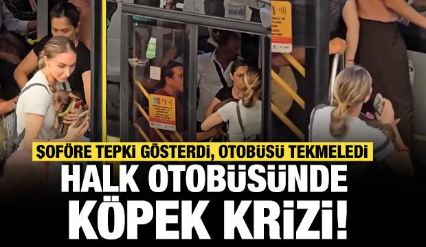 Halk otobüsünde köpek krizi! Şoföre tepki gösterdi, otobüsü tekmeledi