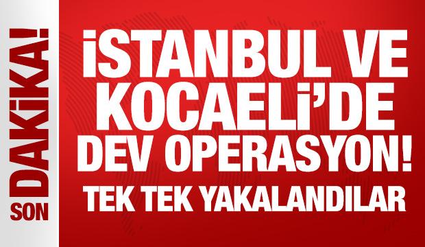 İstanbul ve Kocaeli'de dev operasyon! Tek tek yakalandılar