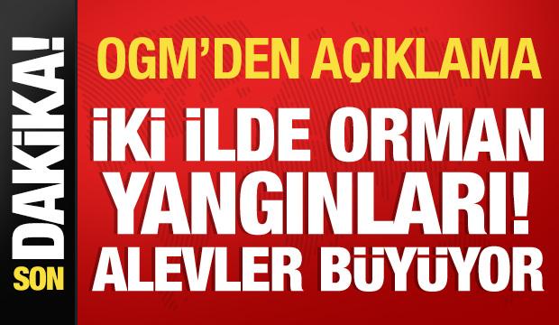 İzmir ve Çanakkale'de orman yangınları