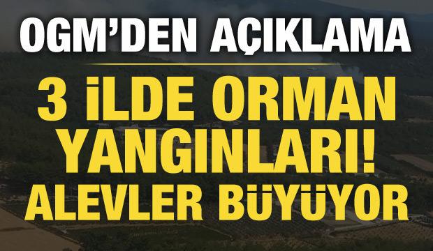 İzmir ve Çanakkale'de orman yangınları