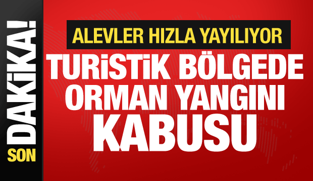 Pamukkale'de orman yangını! Alevler hızla yayılıyor