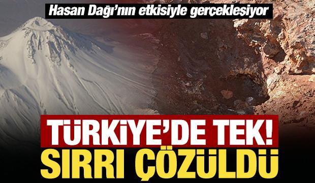 Türkiye'de tek! Sırrı çözüldü