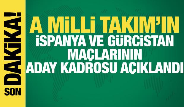 A Milli Takım aday kadrosu açıklandı