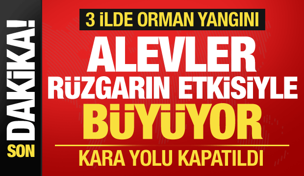 Bursa, Çanakkale, Hatay... 3 ilde orman yangını! Havandan ve karardan ekipler sevk edildi