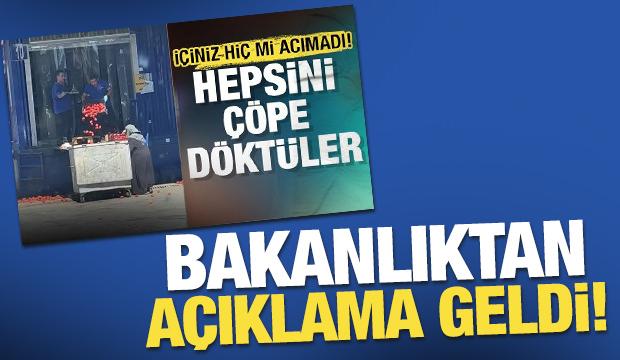 Zincir market çalışanları onlarca kilo domatesi çöpe döktü! Bakanlıktan açıklama geldi