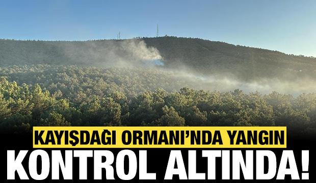 Son dakika: Kayışdağı Ormanı'nda yangın çıktı!