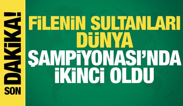 Türkiye, Voleybol Dünya Şampiyonası'nda ikinci oldu