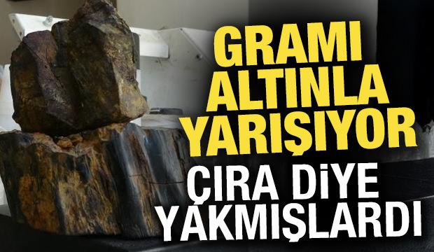 Gramı altınla yarışıyor! Tek tek seçerek topraktan çıkarılıyor: Doğada anlaşılması çok zor