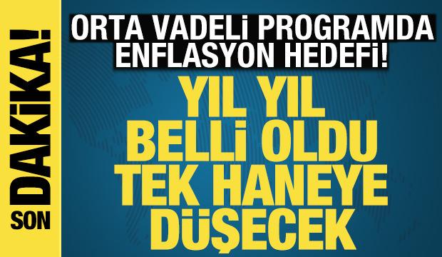 OVP açıklandı: Enflasyon 2027'de tek haneye düşecek