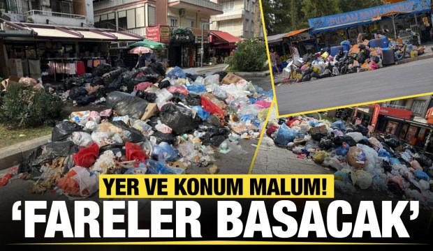 Buca'da çöp krizi devam ediyor! Vatandaş, 'Fareler basacak' diyerek isyan etti