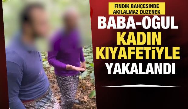 Fındık bahçesine kenevir ektikleri iddia edilen baba oğul tutuklandı