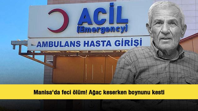 Manisa'da feci ölüm! Ağaç keserken boynunu kesti