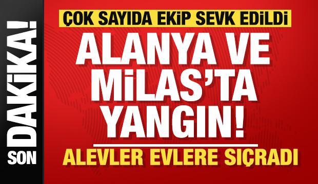 Son dakika... Alanya ve Milas'ta yürek yakan haber! Çok sayıda ekip sevk edildi! 